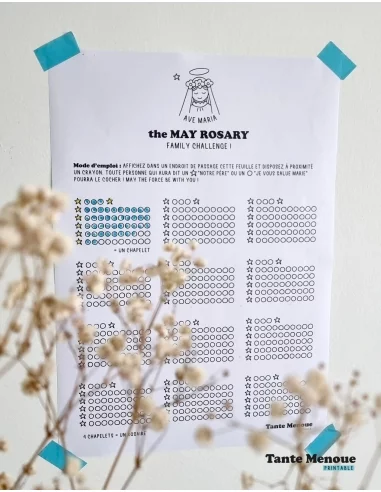 the May Rosary Family Challenge !